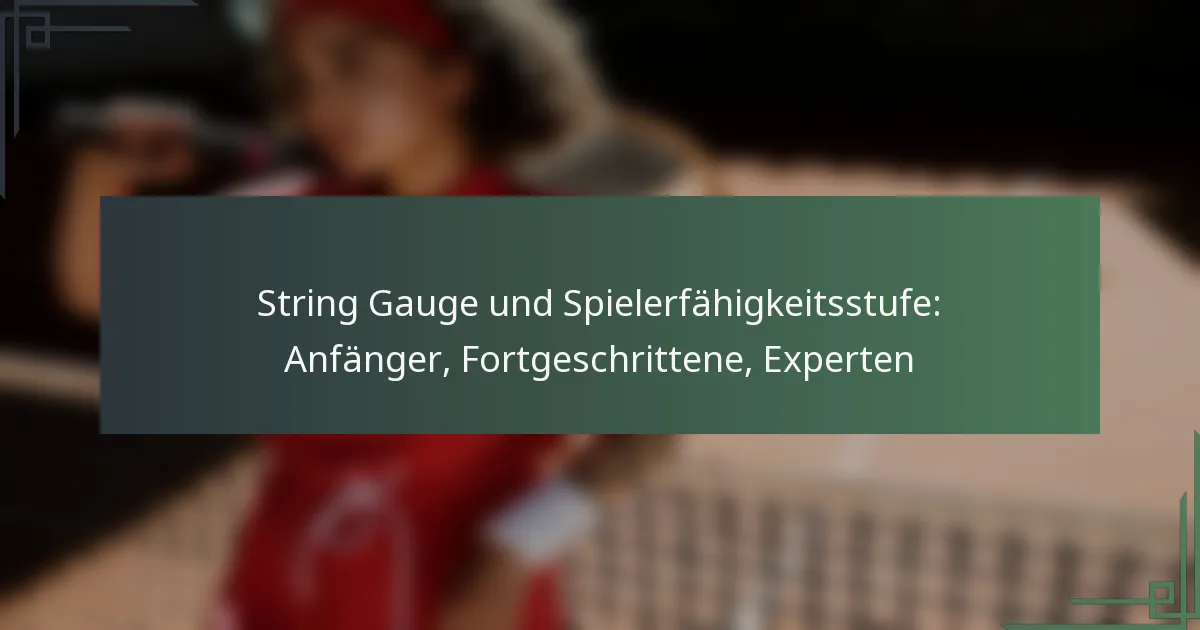 String Gauge und Spielerfähigkeitsstufe: Anfänger, Fortgeschrittene, Experten