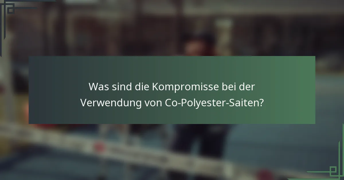 Was sind die Kompromisse bei der Verwendung von Co-Polyester-Saiten?