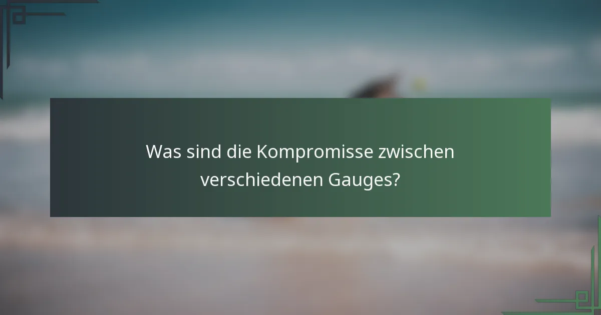 Was sind die Kompromisse zwischen verschiedenen Gauges?