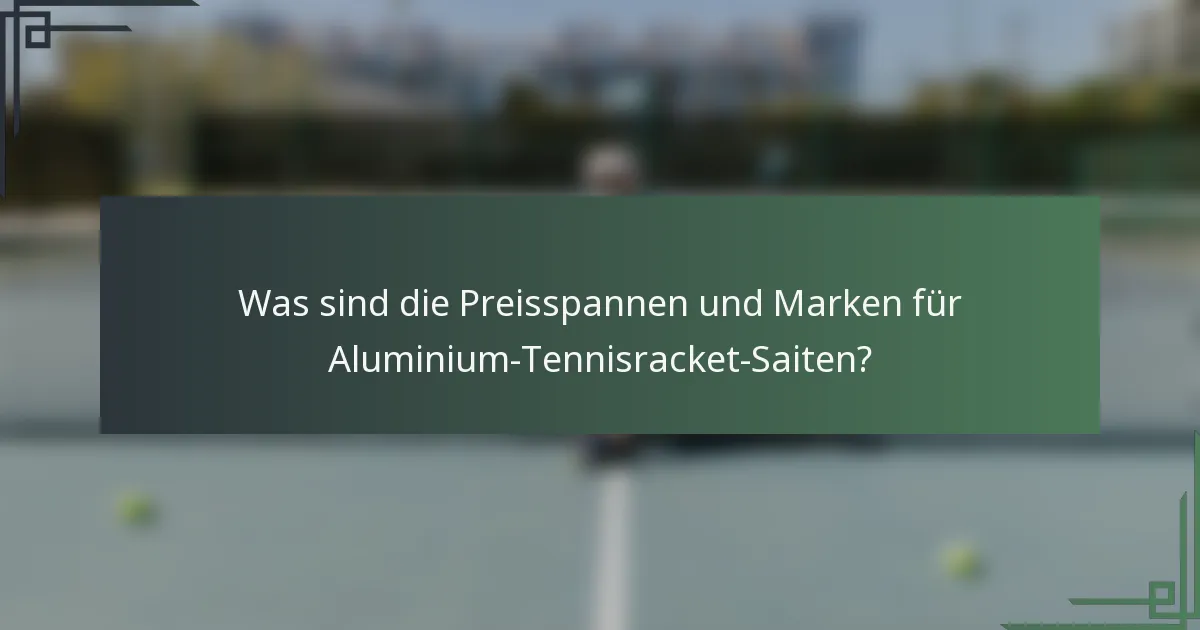 Was sind die Preisspannen und Marken für Aluminium-Tennisracket-Saiten?