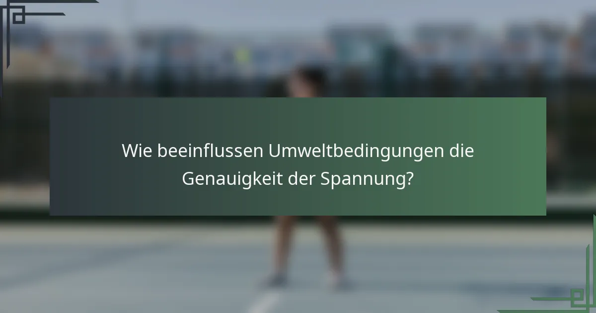 Wie beeinflussen Umweltbedingungen die Genauigkeit der Spannung?