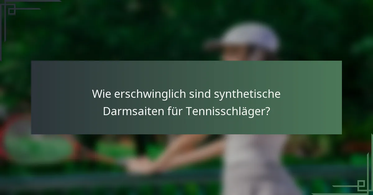 Wie erschwinglich sind synthetische Darmsaiten für Tennisschläger?